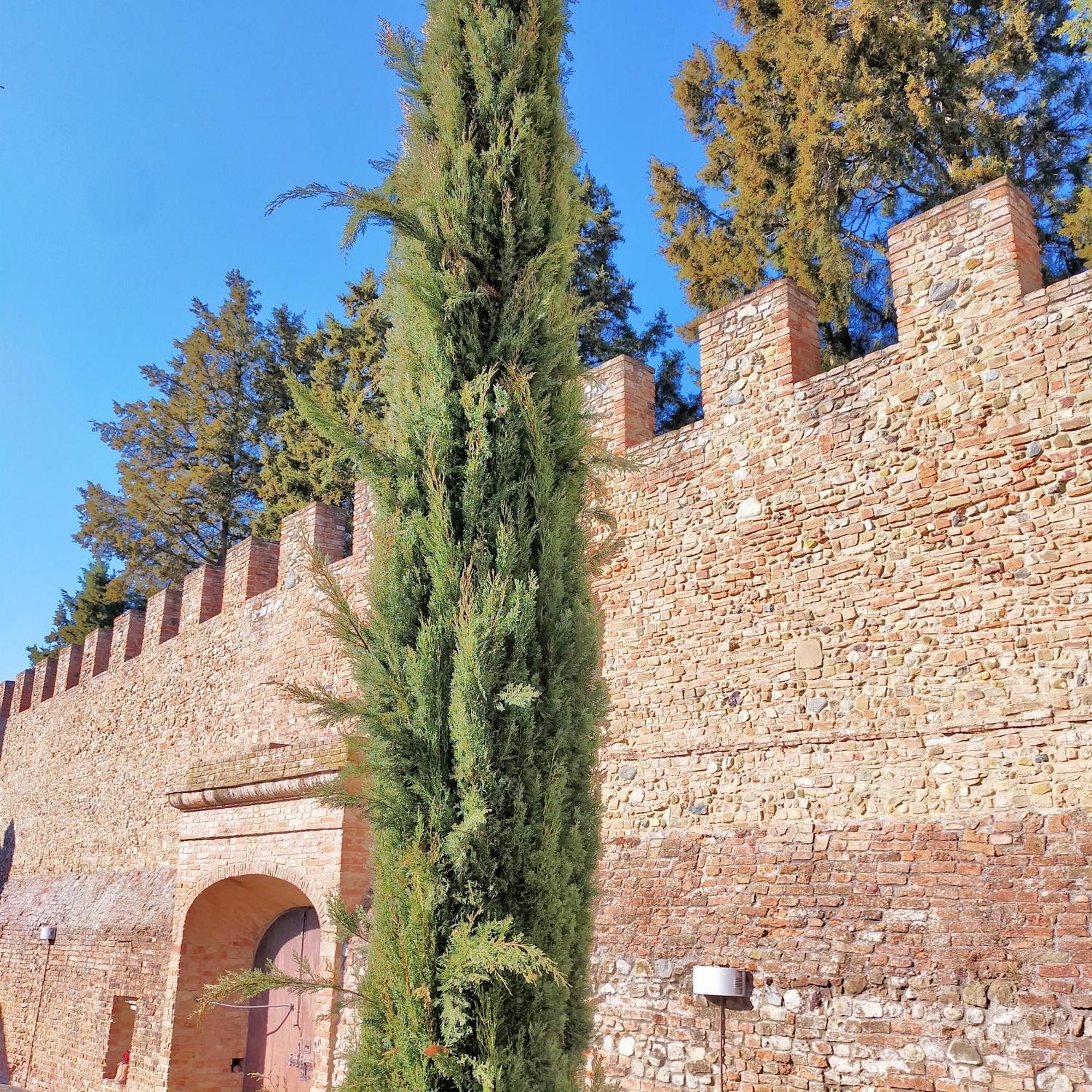 Palazzo Stiozzi Ridolfi Apartment Certaldo Bagian luar foto